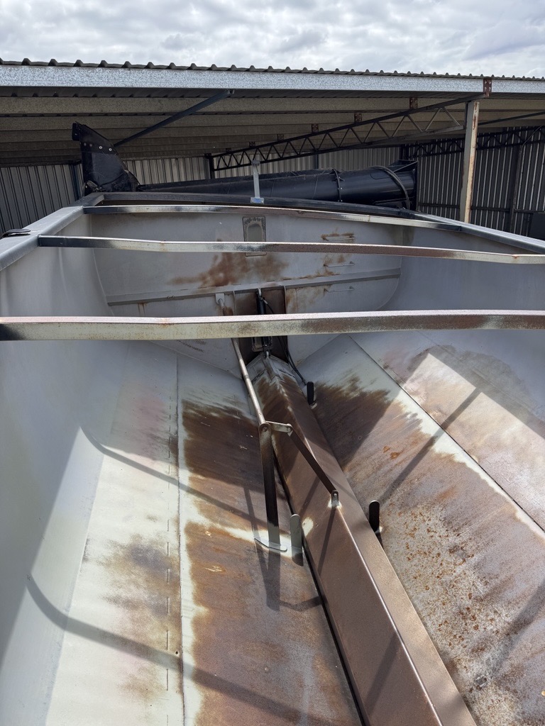 Image 2026 03 06T105104.647